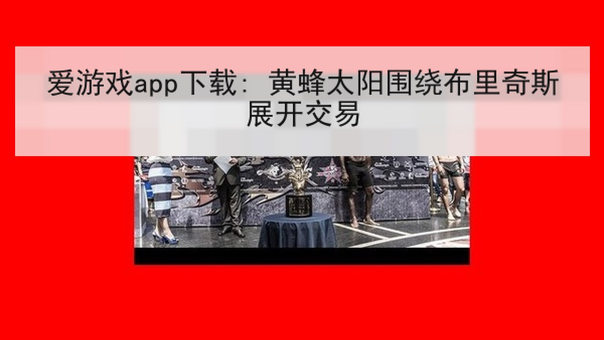 爱游戏app下载: 黄蜂太阳围绕布里奇斯展开交易