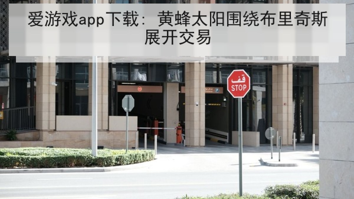 爱游戏app下载: 黄蜂太阳围绕布里奇斯展开交易