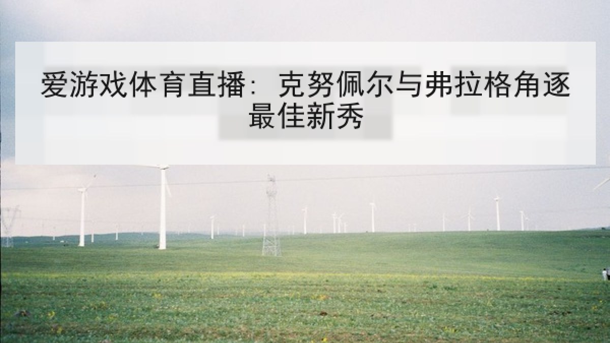 爱游戏体育直播: 克努佩尔与弗拉格角逐最佳新秀